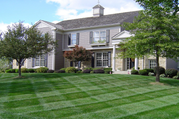 Lawn Mowing