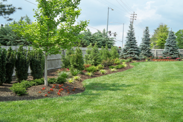 Landscaping